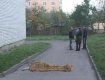 В Ужгородской больнице произошло самоубийство