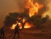 В Украине 1-5 августа ожидается высокий уровень пожароопасности