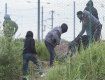 Нелегалы из Гвинеи пытаются пробраться в темноте в Венгрию