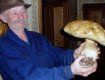 В закарпатском лесу нашли огромный белый гриб весом в 2 кг