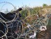 Венгрия начала строительство стены на границе с Хорватией