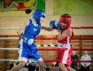 В Ужгороде пройдет Чемпионат Украины по боксу среди юношей