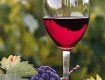 На Закарпатье крупный производитель вина «Котнар» обанкротился