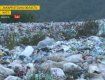 Немальовничі сміттєві гори Закарпаття.