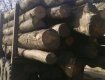 Патрульні в Ужгороді попередили незаконне перевезення деревини