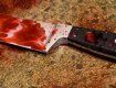 16-річна дівчина замахнулася ножем на жінку...
