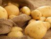 Картоплю ми вживаємо частіше всього. А що ви знаєте про картопю?