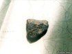 Куски закарпатского метеорита продают в интернете за 4500$