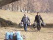 Прес-служба Ужгородської міськради зібрала 5 мішків сміття на набережній