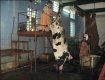 В прошлом году на Береговском мясокомбинате ежедневно забивали минимум 15 коров.