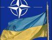 НАТО выберет линию неучастия в конфликте