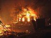 С начала года на Закарпатье уже произошло 412 пожаров
