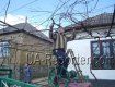 Закарпаття: У селі Онок обрізають виноград