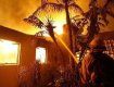 На Закарпатье на пожарах спасли 8 человек