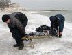 Более 120 россиян замерзли насмерть при морозе в -50
