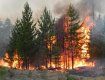 Південь України накрила хвиля моторошних пожеж