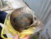В Закарпатье пенсионер нашел череп человека