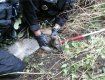 Уже второй раз за последние семь дней полицейские города Пльзень ловили кенгуру
