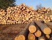 Правительство вынашивает планы по отмене моратория на экспорт леса