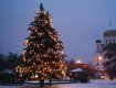 В Ужгороде возле "Украины" засветилась елка