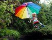 5-річний хлопчик вирішив зістрибнути з балкона за допомогою парасольки