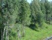 На путях найдено тело проводницы поезда "Одесса–Минск"