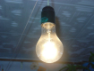 вступил в силу запрет на использование 100-ваттных лампочек накаливания