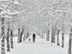 В Украину идет похолодание, возможен снегопад