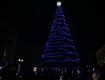 В Мукачево торжественно открыли главную елку