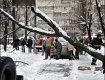 Снегопад натворил в Киеве немало бед