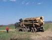 Активисты задержали на Закарпатье лесовоз, который уничтожал природу