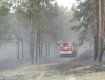 На Херсонщині загорання сухої трави спровокувало масштабну пожежу