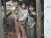 Ромских детей больше всего среди беспризорников.