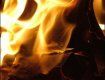 С начала года в Закарпатье уже произошли 72 пожара