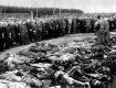 Из Мукачева в фашистские концлагеря было отправлено свыше 28 тысяч евреев
