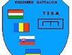 Многонациональный инженерный батальон "Тиса"