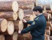 Трое контрабандистов наладили поставку лесоматериалов в Молдову