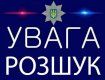Полиция просит откликнуться свидетелей ДТП в Ужгороде