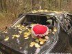 Водитель Subaru, стараясь избежать столкновения, вылетел в лесополосу.