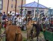 На самом большом лошадином рынке в Мукачеве