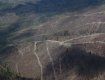 Маштабы вирубки леса на хребте Боржава ужасают