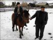 Среди предков "гуцуликов" называют дикого коня тарпана и монгольских коней