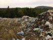 В мусоре утопают гектары реликтового леса и берега реки