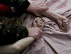 В Голосеевском районе Киева поймали учителя-педофила
