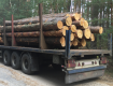 Иршавская полиция обнаружила полуприцеп с левой древесиной