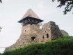 В Ужгороде представлена концепция развития замков Закарпатья