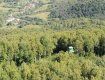 На Закарпатье организовали воздушный коридор по доставке нелегалов в Словакию