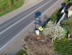 Ужгородский фотограф заглянула при помощи дрона в гнездо аистов