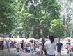 В парке "Подзамковый" в Ужгороде состоится праздник «Экватор лета»