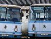 В Ужгороді шкільні автобуси гниють на подвір’ї місцевого комунтрансу (КАТП)
